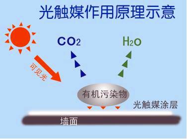 新房除甲醛需要注意哪些？都有哪些有效去除的方法？