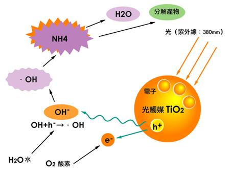 如何辨別劣質(zhì)光觸媒？