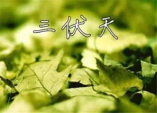 三伏天更要找杭州甲醛檢測公司上門采樣嗎？